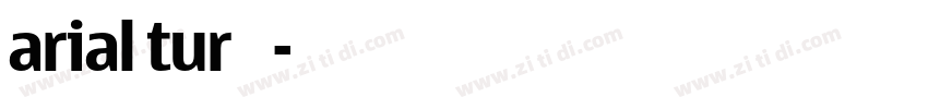 arial tur 粗体字体转换